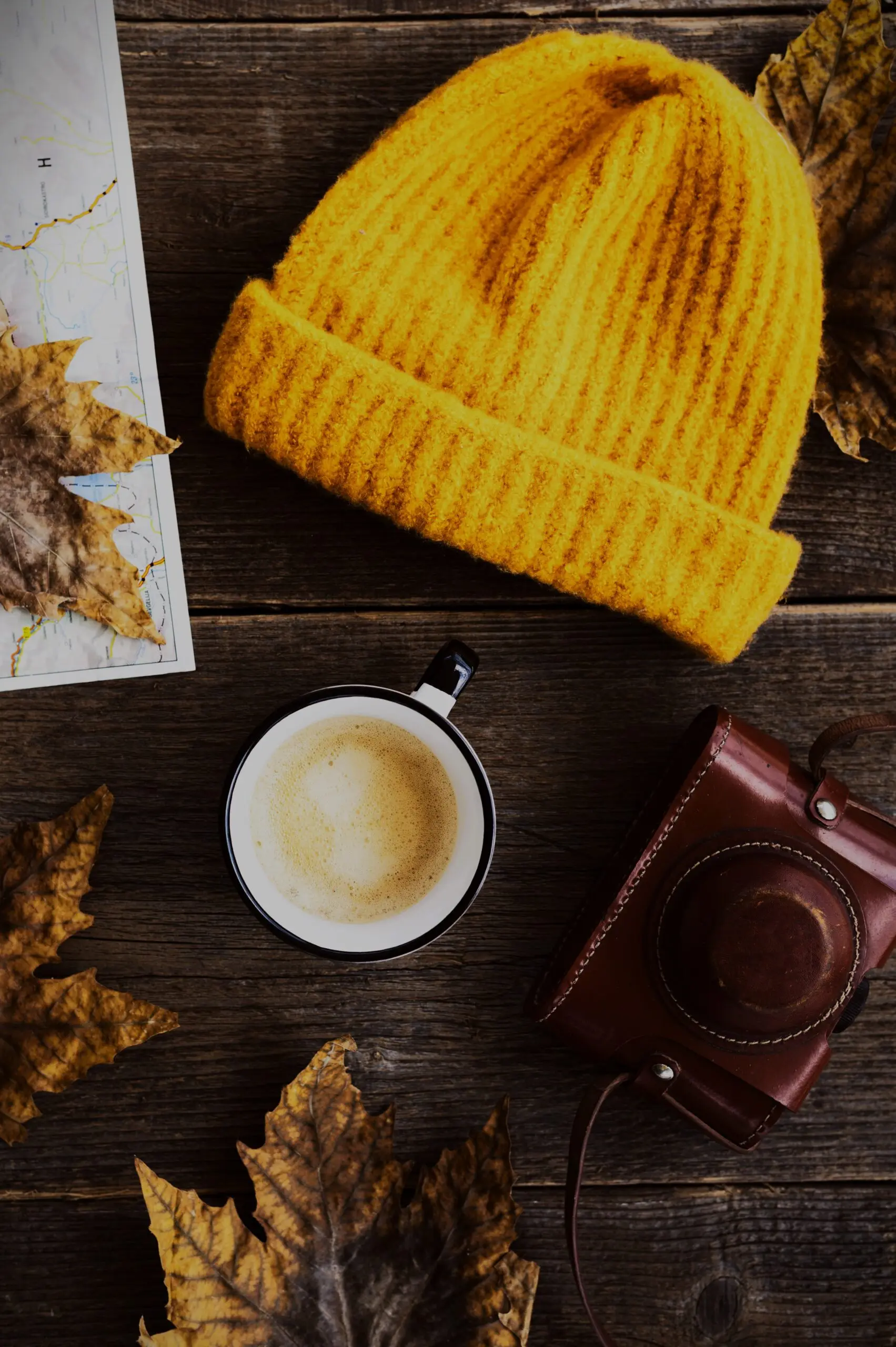 Freelance Digital Marketing Strategist in Palakkad Gallery3